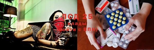 сатива Гусиноозёрск