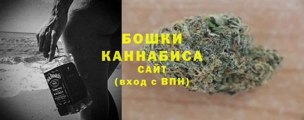 дживик Гусев