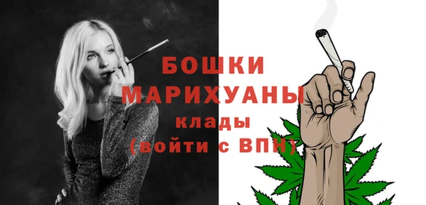 ECSTASY Дмитриев
