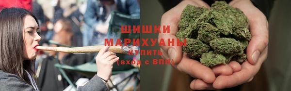 дживик Гусев