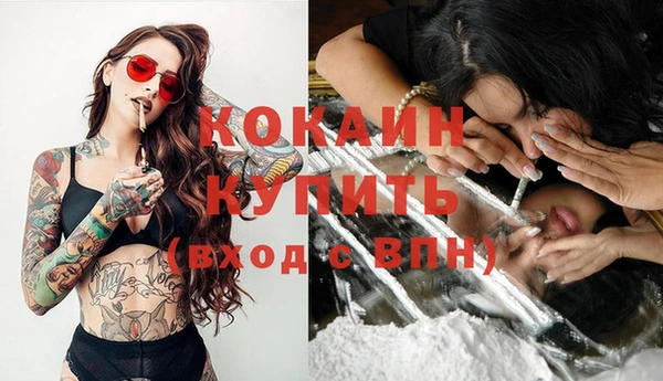 дживик Гусев