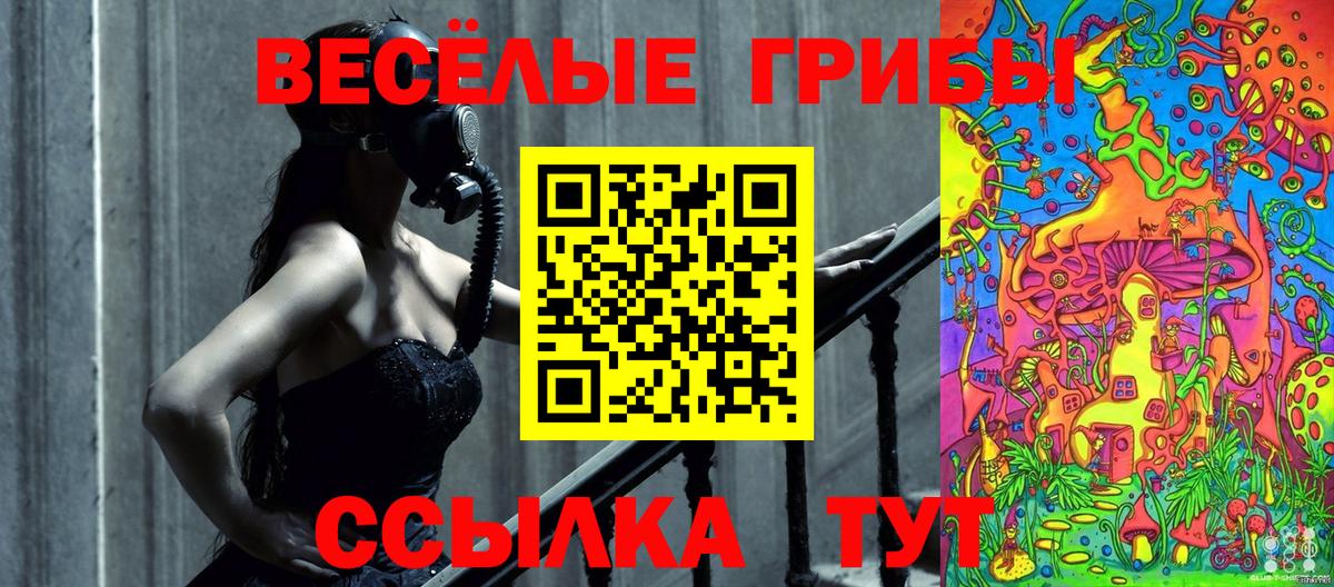 Псилоцибиновые грибы прущие грибы Гусев