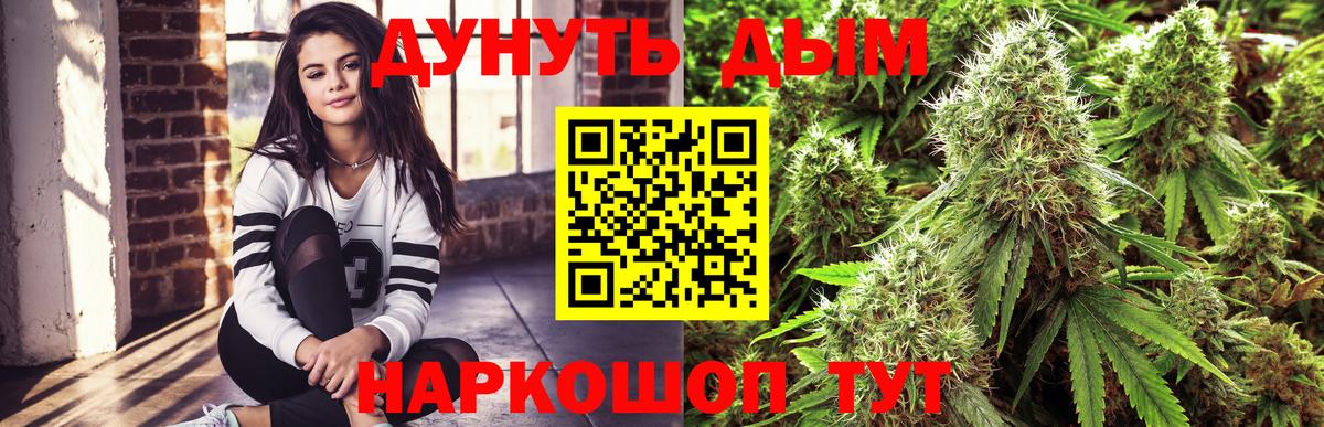 Канабис план  Марихуана Ganja  Бошки марихуана Bruce Banner  Гусев  Вход с VPN 
